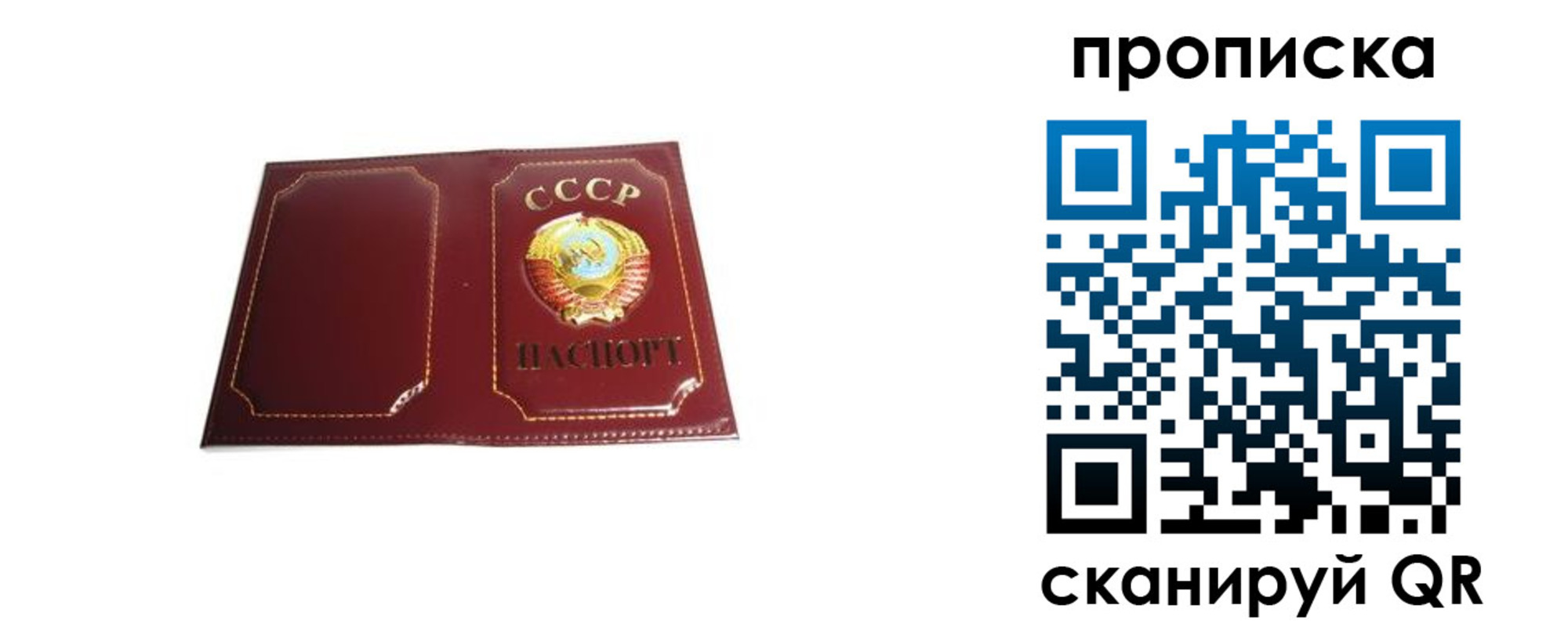 прописка гарантия в Называевске